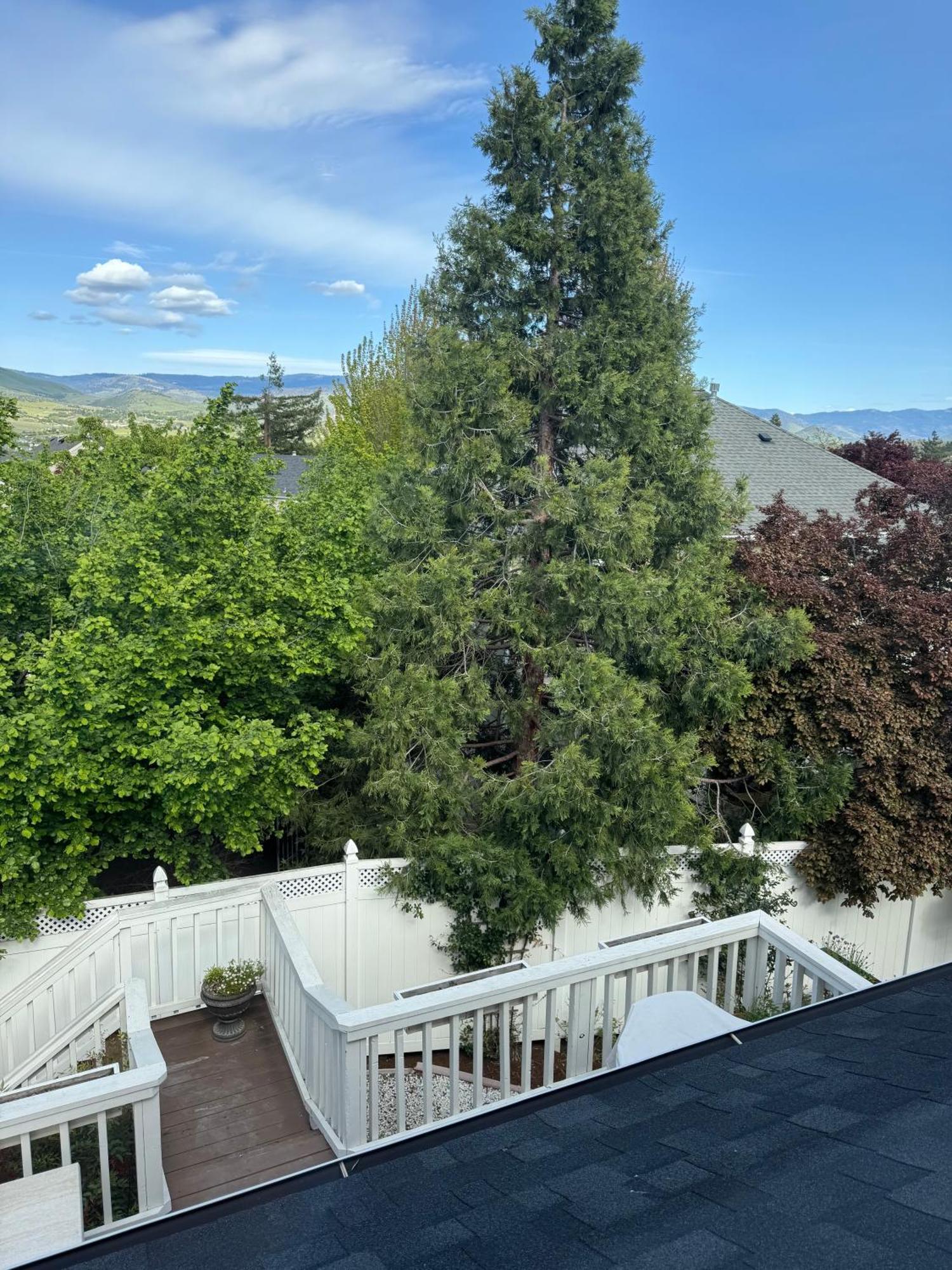 Bayberry Inn B&B And Oregon Wellness Retreat 애쉬랜드 외부 사진